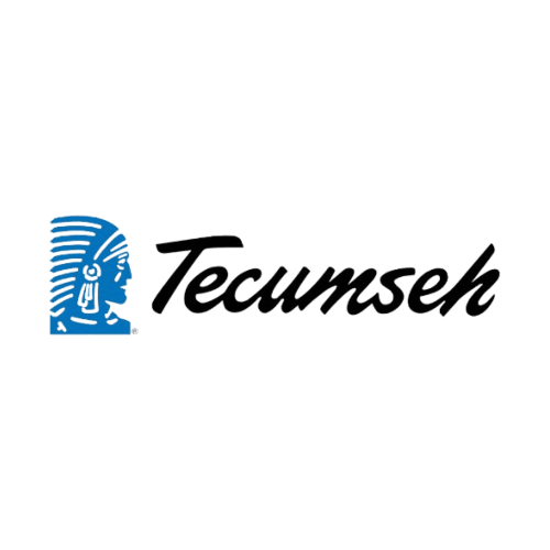 Temcuseh (1)